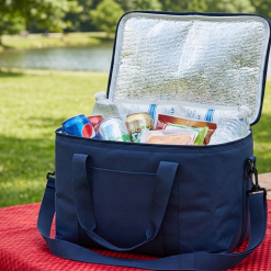 Insulated Cooler Bag